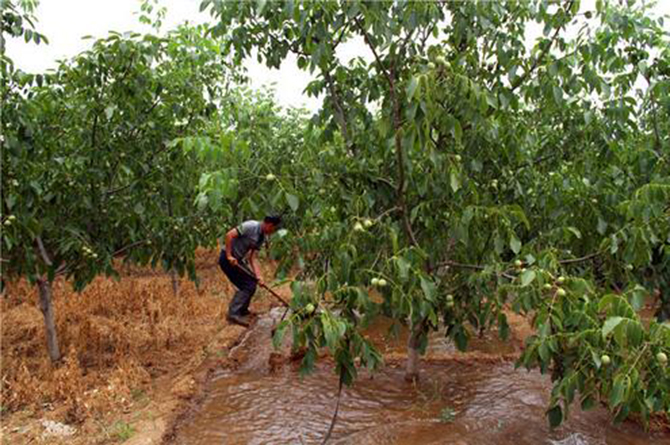 1500950834112183.jpg 2016-5-10-e0286d469a5f420e81c6165661de6b53.jpg