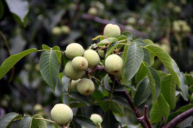 1500950875915888.jpg 2016-5-10-600011b2cc6e47e7994e84afdaf01387.jpg