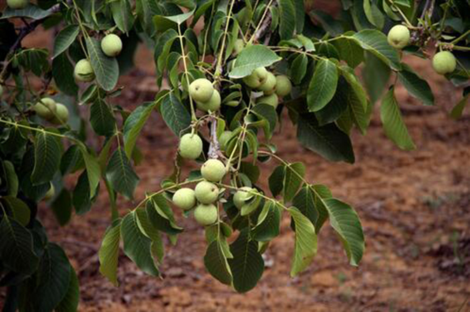 1500950908317230.jpg 2016-5-10-8a6fbf2644844ecdb373536070601b61.jpg