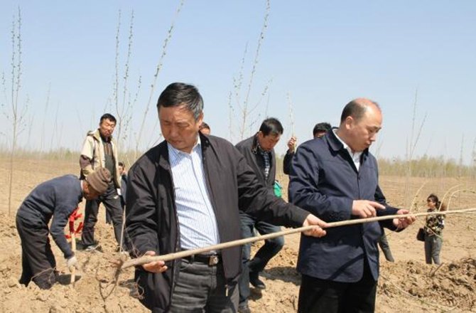 1500951339682182.jpg 2016-5-5-15917e3d6cca4720996e161dad7d9b9b.jpg