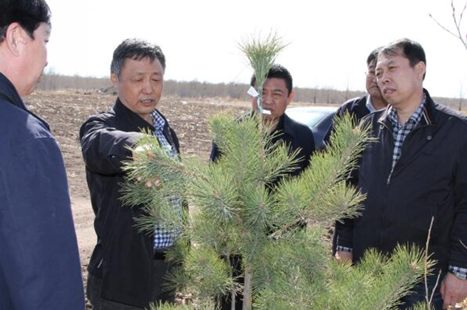 1500951347315164.jpg 2016-5-5-3fa6c571745747d4ac8312f35bf47687.jpg