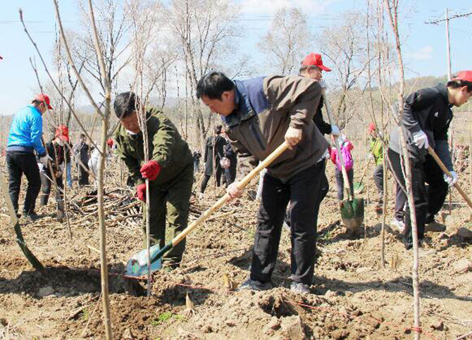 1500951669477394.jpg 2016-5-3-e57a771ffa3a4733a0d4d8f954fef6ee.jpg