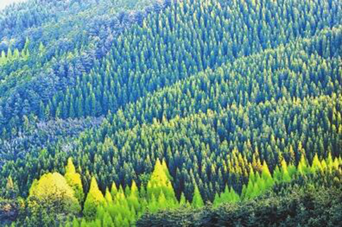 1500951780876901.jpg 2016-5-3-d24b5cd0b6414603bf168fd852a46784.jpg