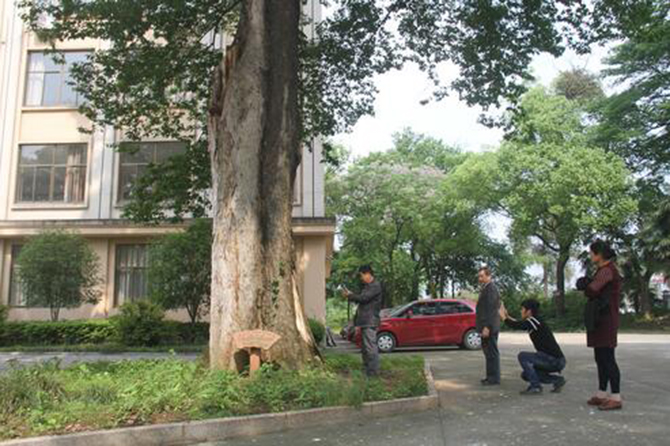 1500952525878838.jpg 2016-4-29-ef4d81e53da74c94b1b96e1a6fc70cf9.jpg