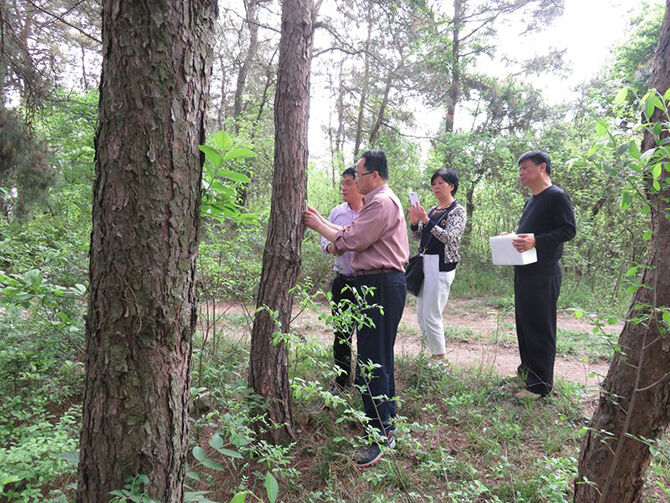 1500959131111925.jpg 2016-4-18-830ef7b74b5a4e389734a72f5c948816.jpg