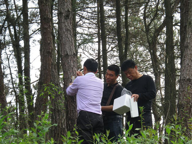 1500959145540436.jpg 2016-4-18-5c97a853b4394dd086299b50506acbd4.jpg