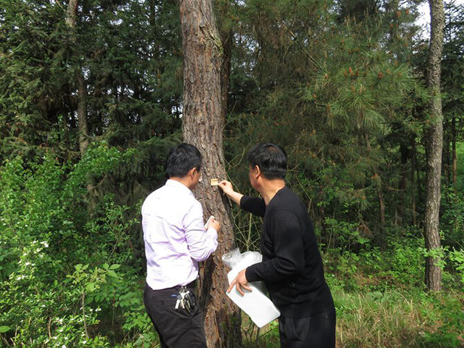 1500959161123772.jpg 2016-4-18-89563ce3307d4f7d81eb011c9dee1640.jpg