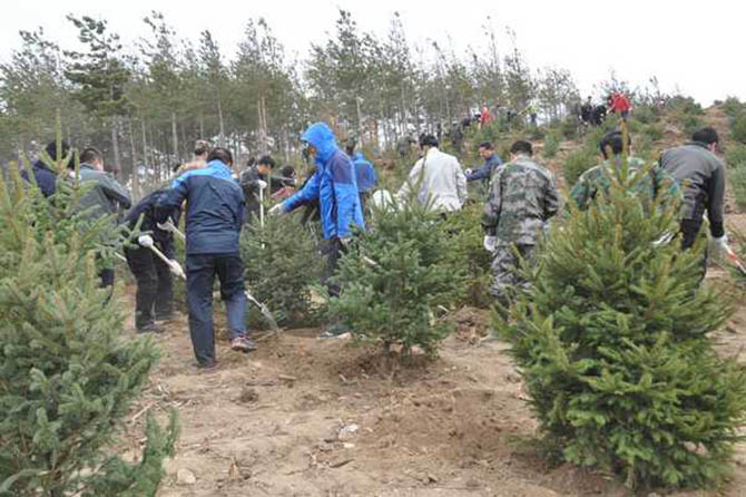 1500959471833439.jpg 2016-4-14-bdf1a5ecc1cc4b5a91128e9962cc954f.jpg