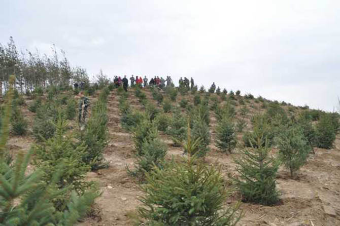 1500959485803489.jpg 2016-4-14-935ed2505e3d4d118d67f3bcf637ebac.jpg