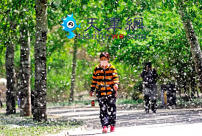 1500960240246184.jpg 2016-4-12-3dccf0cb04da47fe8965e2d88b352b5a.jpg