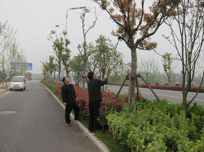 1500962033122782.jpg 2016-4-7-9106dc60973e4b09876428a60e11c5f2.jpg