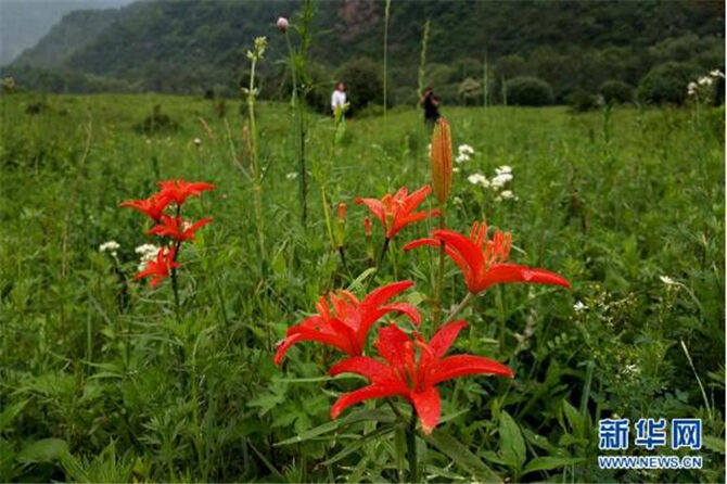 1500974303133084.jpg 3.jpg