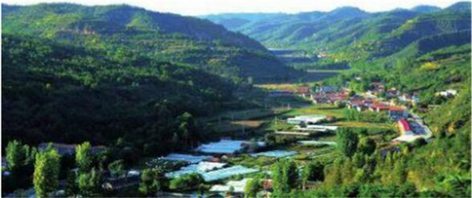 1501034145255178.jpg 1.jpg