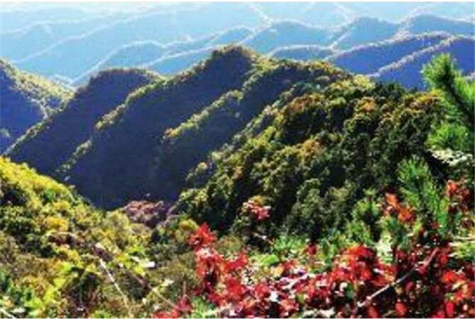 1501034338839980.jpg 2.jpg