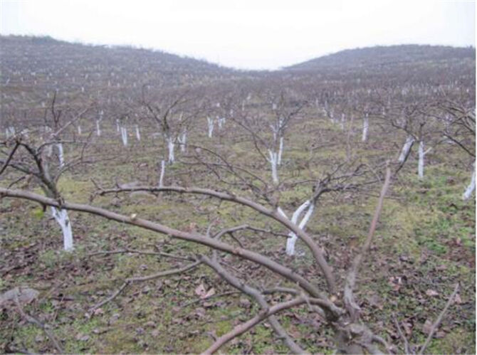 1501044816109068.jpg 铜仁1.jpg