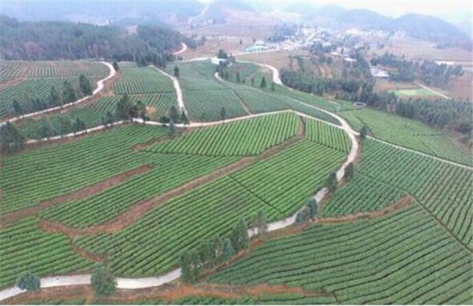 1501044852415084.jpg 铜仁2.jpg