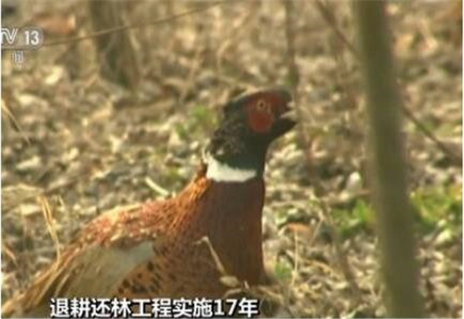 1501049604255866.jpg 2.jpg