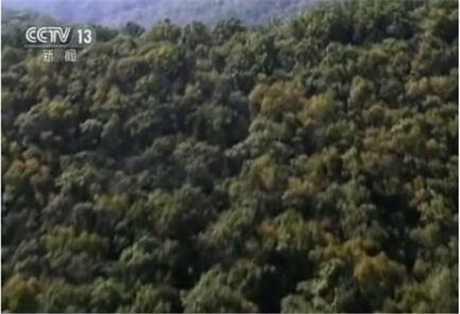 1501049698117631.jpg 3.jpg