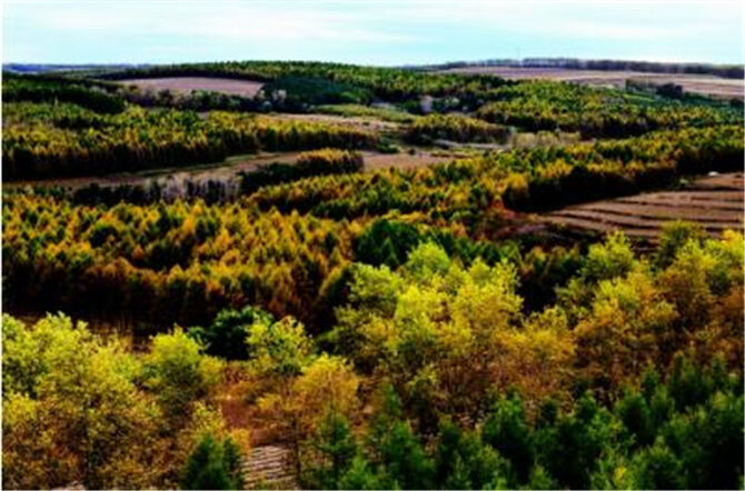 1501050291354581.jpg 1.jpg