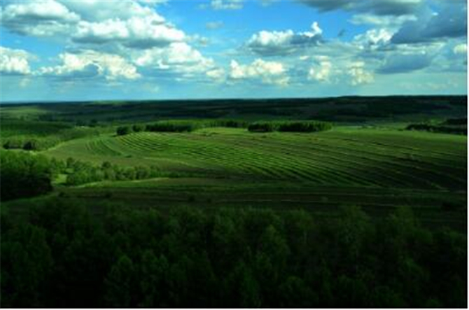 1501050405134457.jpg 2.jpg