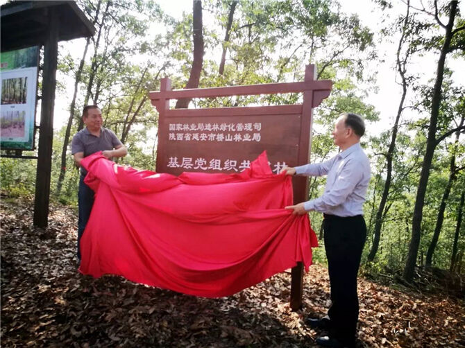 1501143958260901.jpg 02.jpg