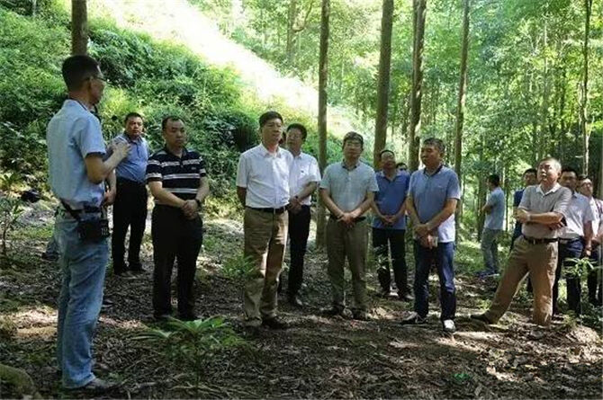 1501144259275145.jpg 04.jpg