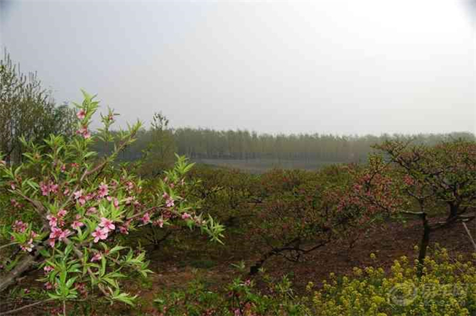 1501205672323340.jpg 02.jpg