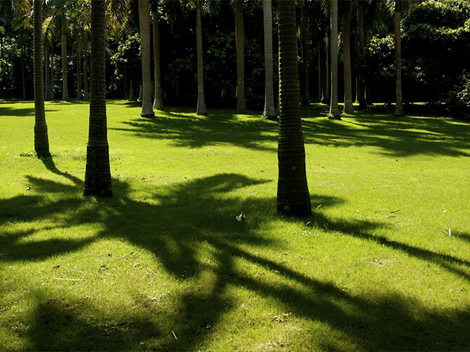 1501576492122154.jpg 01.jpg