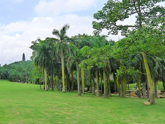 1501576555430102.jpg 03.jpg