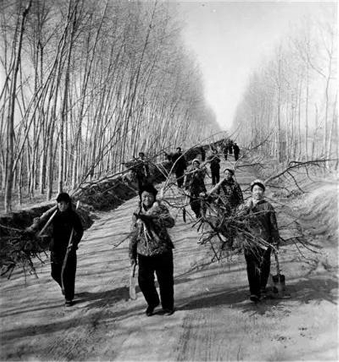 1502766099428639.jpg 01.jpg