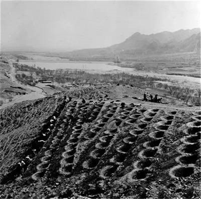 1502766149545815.jpg 02.jpg