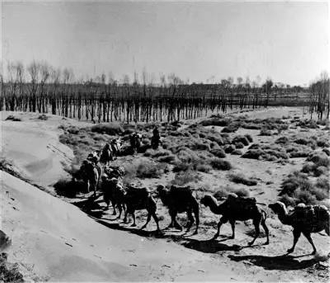 1502766187117046.jpg 03.jpg