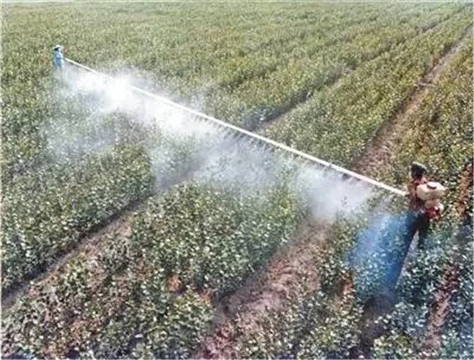 1502766242792172.jpg 04.jpg