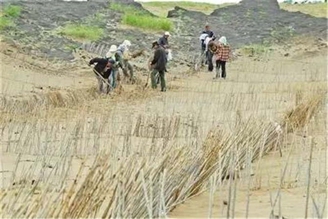 1502766285344899.jpg 05.jpg