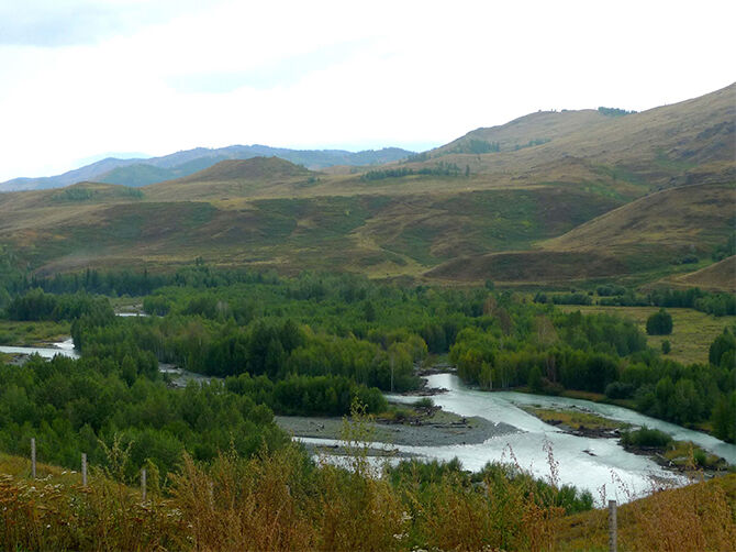 1505635873285903.jpg 01.jpg