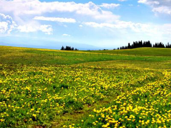 1505635907104442.jpg 02.jpg