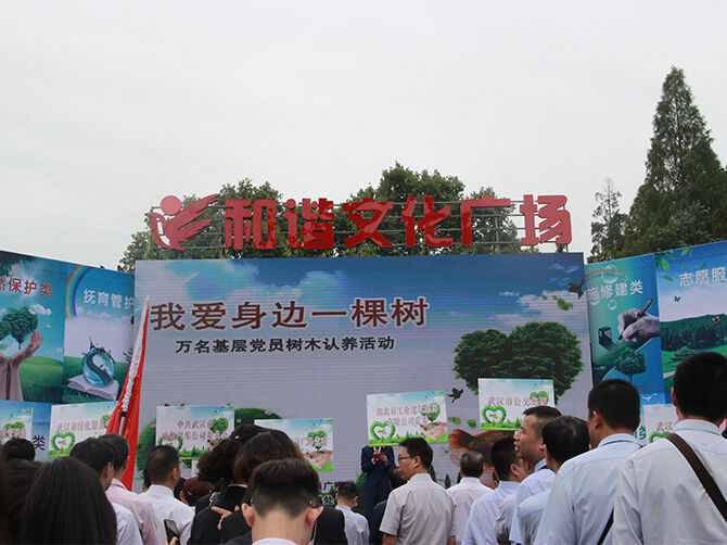 1507555147704817.jpg 03.jpg