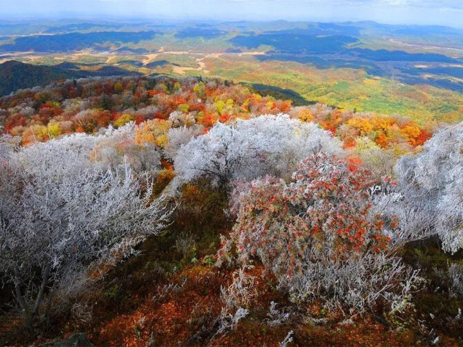 1507555630434362.jpg 0001.jpg