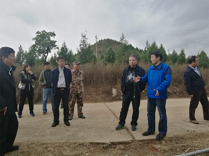 1509370607232285.jpg 01.jpg