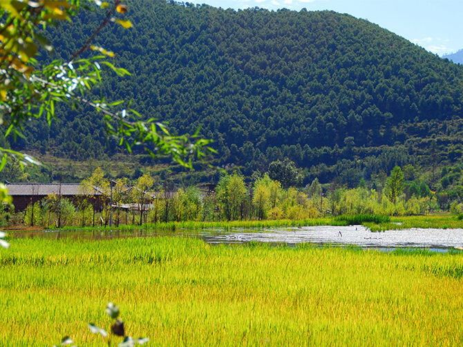 1509371099362757.jpg 03.jpg