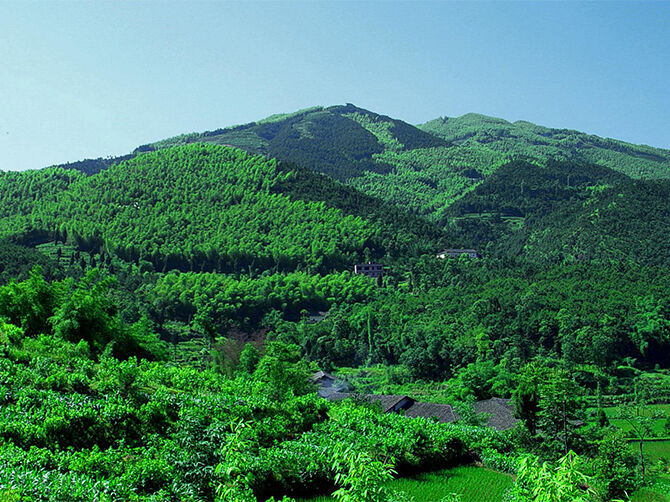 1510197170130734.jpg 01.jpg