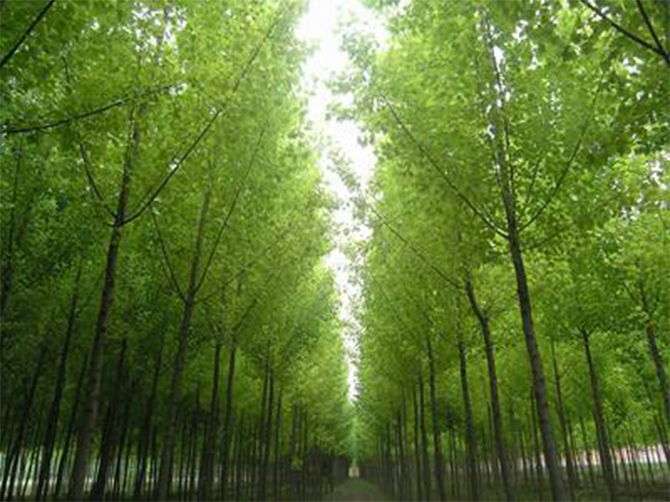 1510197219124129.jpg 02.jpg