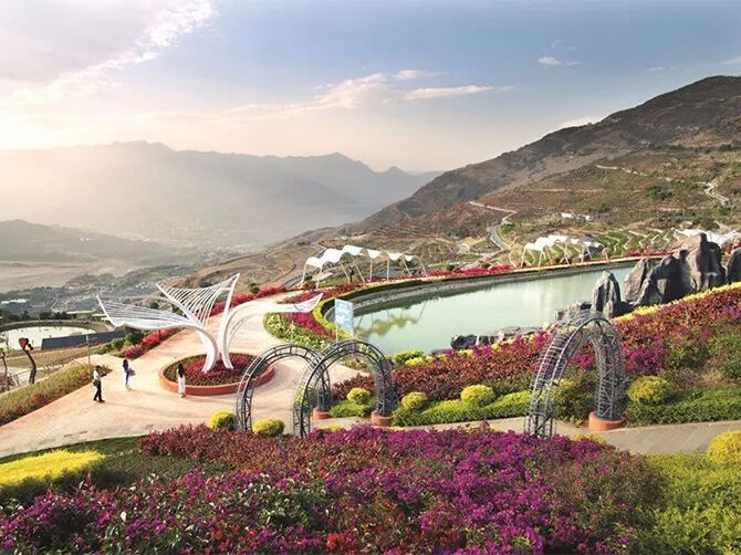 1510197419104782.jpg 03.jpg