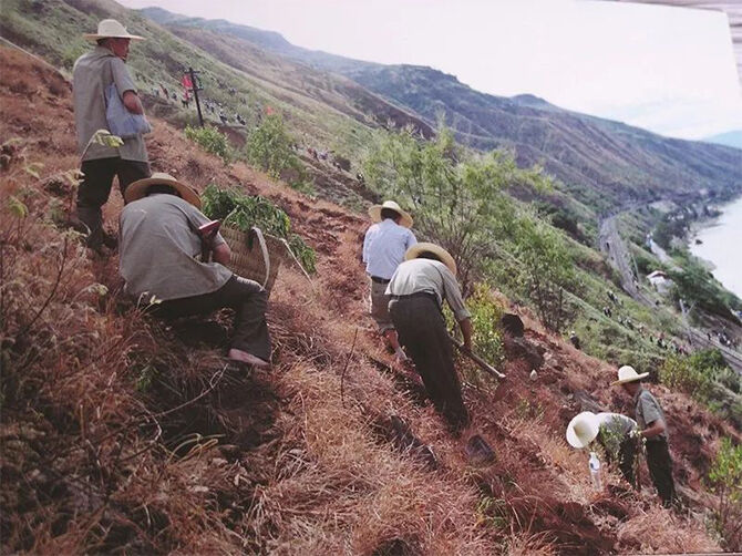 1510197491119060.jpg 04.jpg