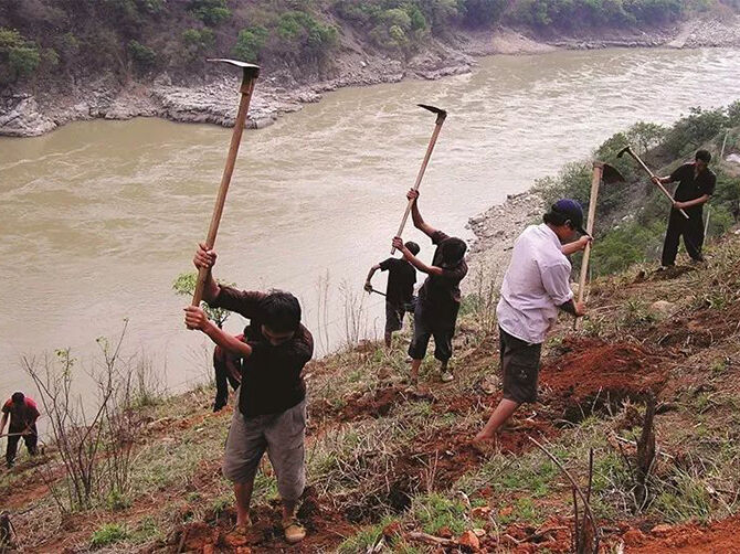 1510197862453899.jpg 05.jpg