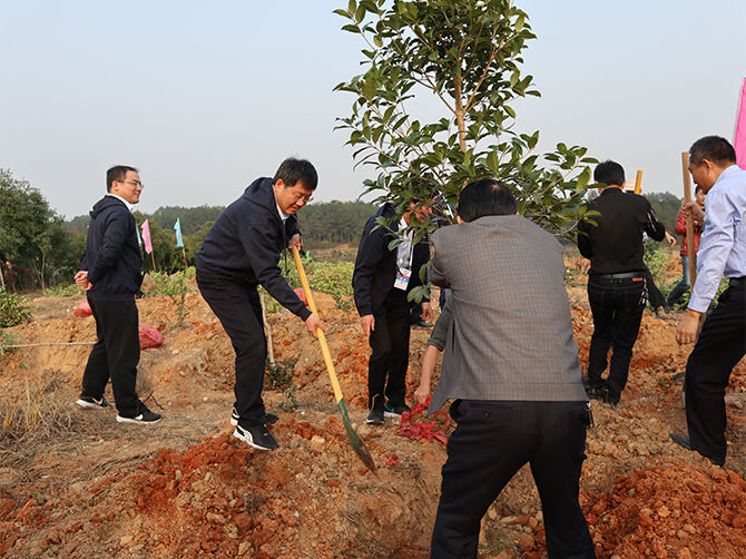 1510595221198978.jpg 02.jpg