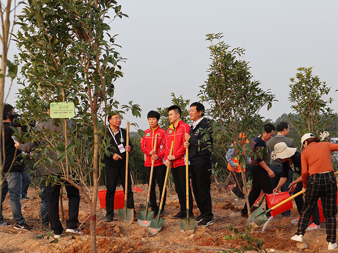 1510595381652017.jpg 04.jpg