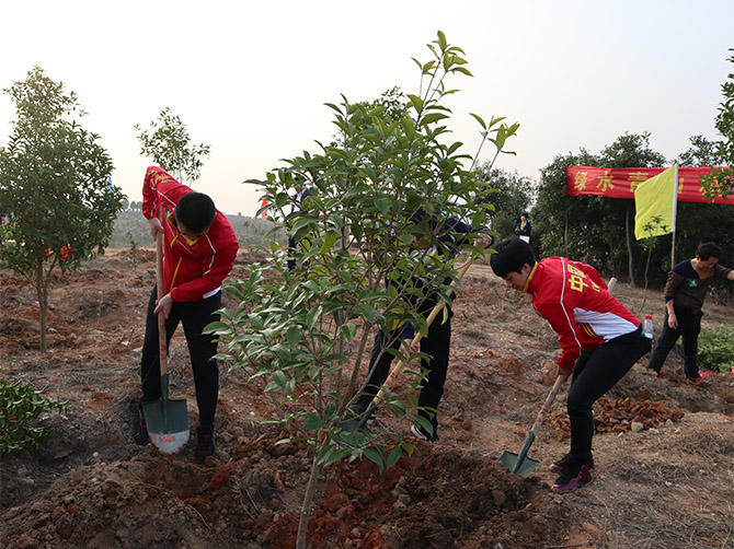 1510595728830212.jpg 11.jpg