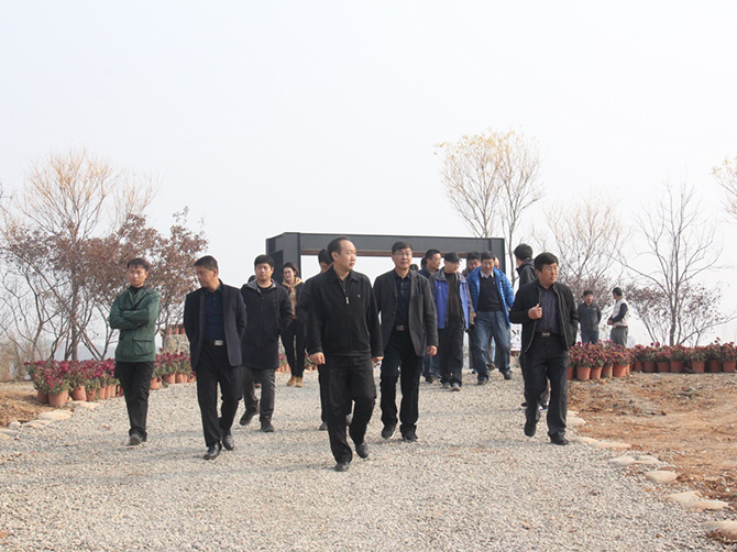 1510596177874448.jpg 01.jpg