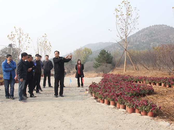 1510596238119783.jpg 02.jpg